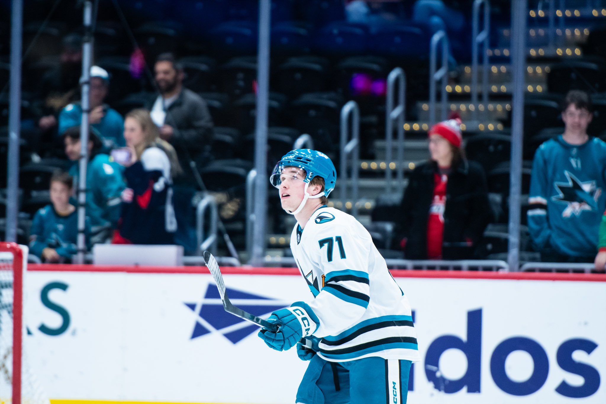 Calouro Macklin Celebrini : previsões ao Calder Memorial Trophy.