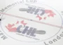 Logo da CHL no rink. (Reprodução: Getty Images)